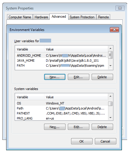 Description of env_var.png follows