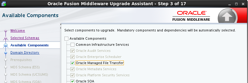 Description of soa_mft.png follows Description of soa_mft.png follows