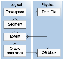 Description of Figure 14-1 follows