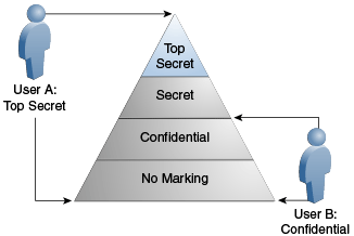 Description of Figure 12-3 follows