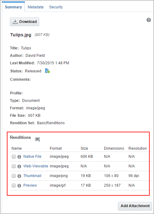Rendition area of Summary Tab in Properties section Rendition area of Summary Tab in Properties section