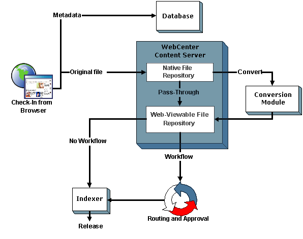 Graphic of Revision Process Graphic of Revision Process