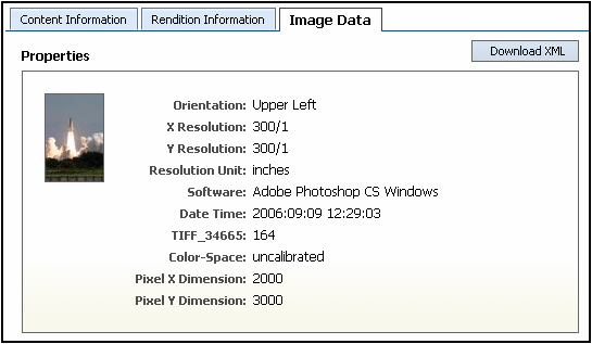 Graphic of image data page Graphic of image data page