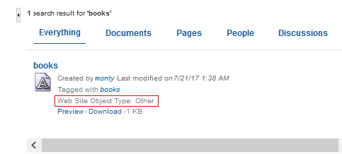 Search Results with the Created Custom Attribute