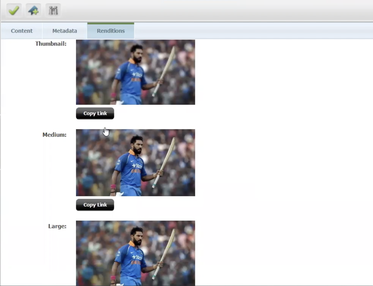 Shows the Rendition tab with three Copy Link buttons for the three variations of the same image