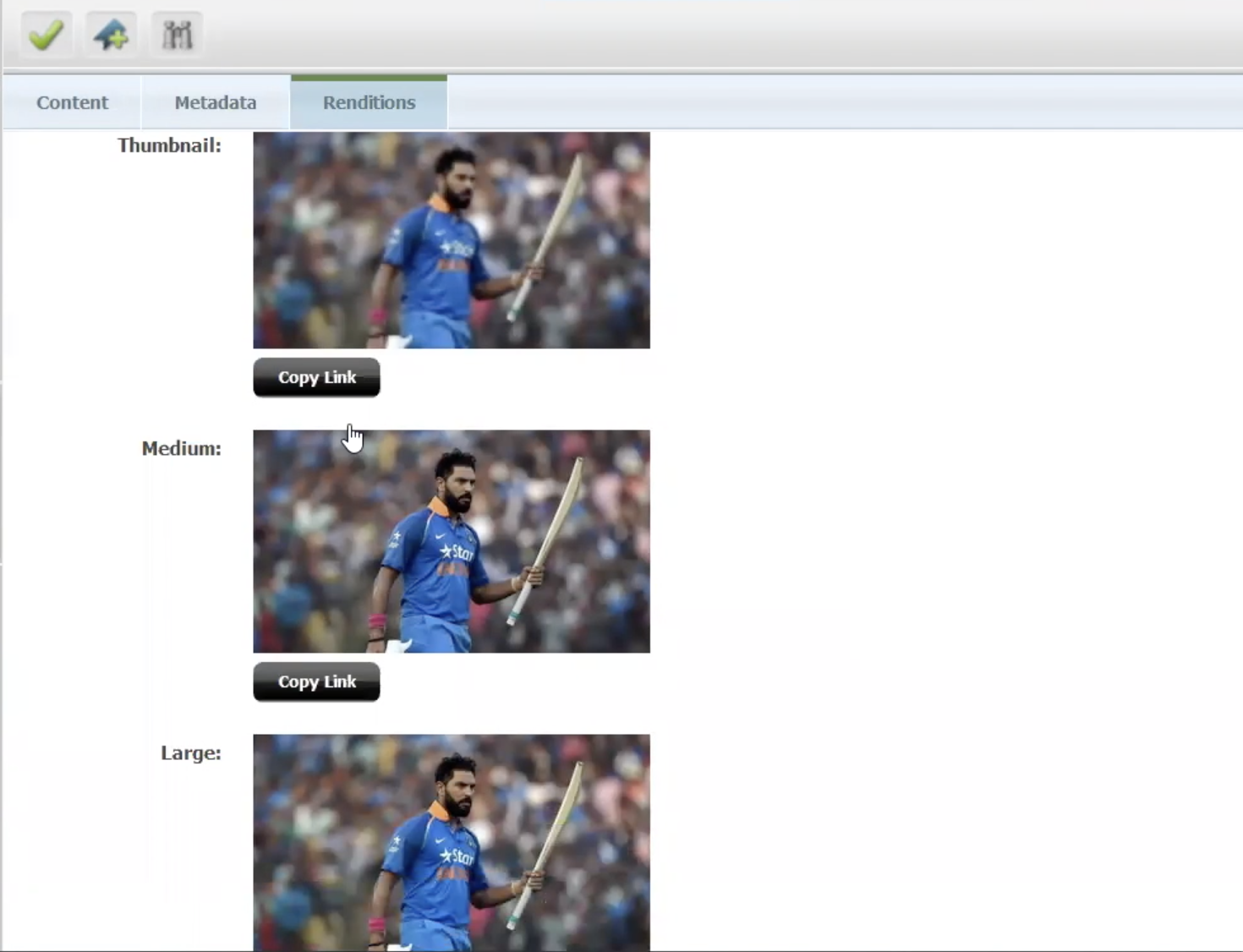 Shows the Rendition tab with three Copy Link buttons for the three variations of the same image Shows the Rendition tab with three Copy Link buttons for the three variations of the same image