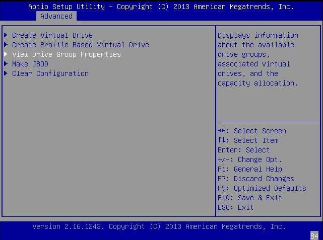 graphic that shows how to view the new virtual drive properties