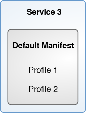 Shows one install service with a default manifest and two profiles.