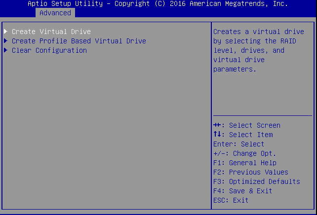 image:Screen showing Advanced menu with Create Virtual Drive option                                 selected.