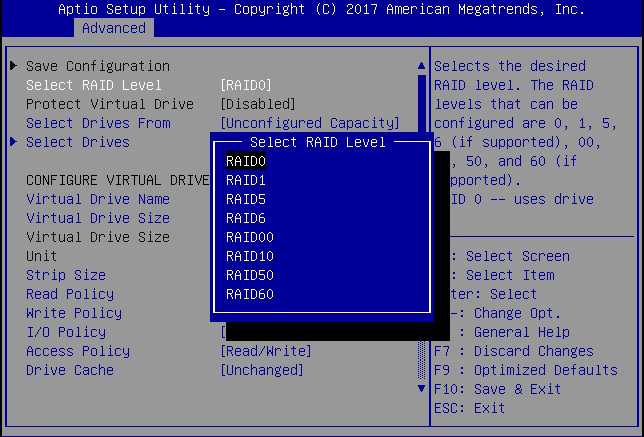 image:Image showing the RAID levels in the BIOS Configuration                                 Utility.