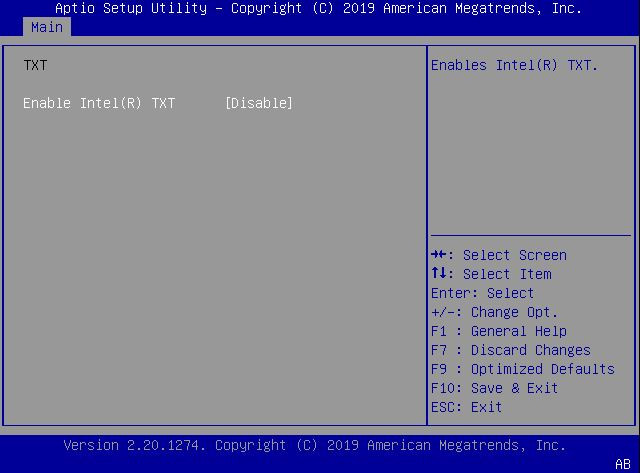 This figure shows the TXT screen within the Security settings Menu.