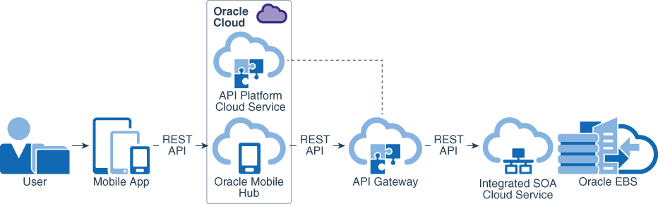 Description of omh_api_platform_cloud_service.png follows