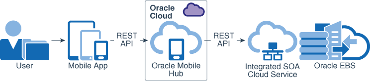 Learn About Connecting Your Mobile Apps To Oracle E Business Suite
