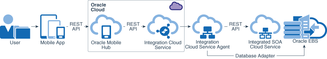 Learn About Connecting Your Mobile Apps To Oracle E Business Suite