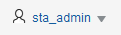 Main toolbar with role icon noted. Main toolbar with role icon noted.