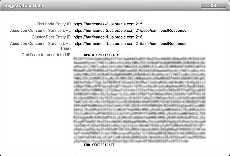 Identity Provider registration details