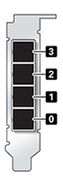 Graphic showing the logical port numbers of the SAS HBA