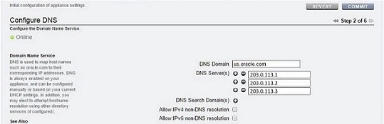 image showing the Configure DNS screen