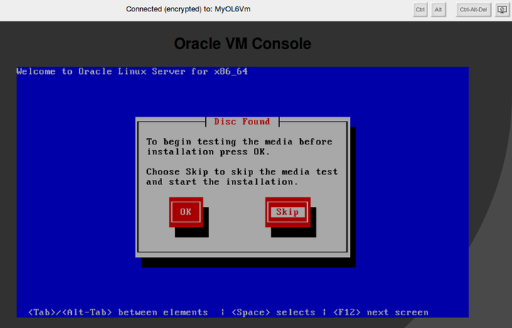 This figure shows the virtual machine console screen.