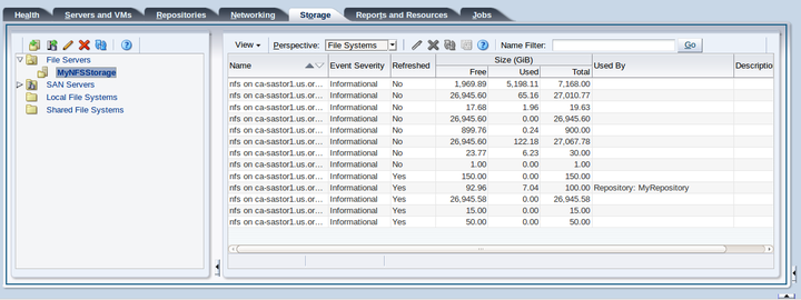 This figure shows the Storage tab with the File Systems perspective displayed.