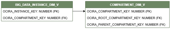 Diagrama de relaciones que muestra la tabla de dimensiones, BIG_DATA_INSTANCE_DIM_V.