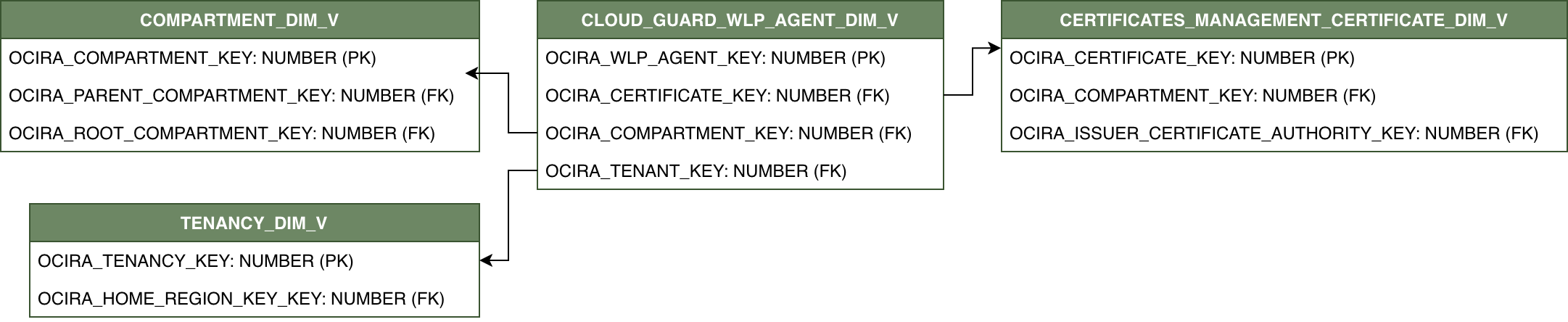 Diagrama de relaciones para CLOUD_GUARD_WLP_AGENT_DIM_V y sus tablas de dimensiones relacionadas.