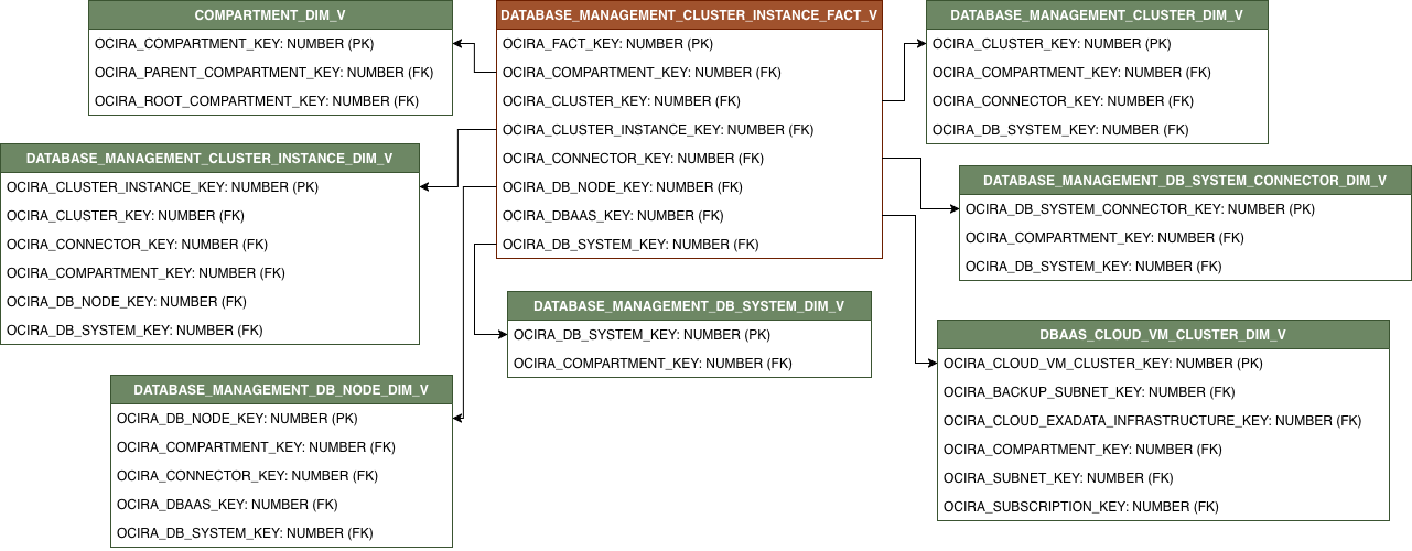 Diagrama de relaciones con DATABASE_MANAGEMENT_CLUSTER_INSTANCE_FACT_V y sus tablas de dimensiones relacionadas.