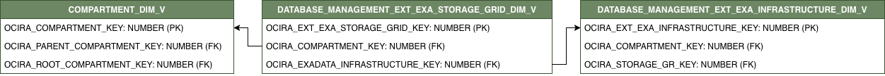 Diagrama de relaciones con DATABASE_MANAGEMENT_EXT_EXA_STORAGE_GRID_DIM_V y sus tablas de dimensiones relacionadas.