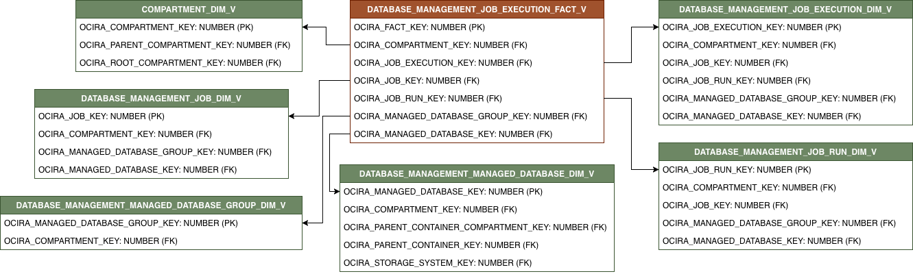 Diagrama de relaciones con DATABASE_MANAGEMENT_JOB_EXECUTION_FACT_V y sus tablas de dimensiones relacionadas.