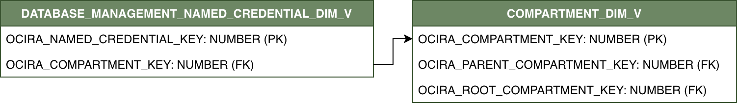 Diagrama de relación con DATABASE_MANAGEMENT_NAMED_CREDENTIAL_DIM_V conectado a COMPARTMENT_DIM_V.