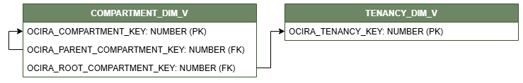 [Vista COMPARTMENT_DMI_V conectada a TENANCY_DIM_V.