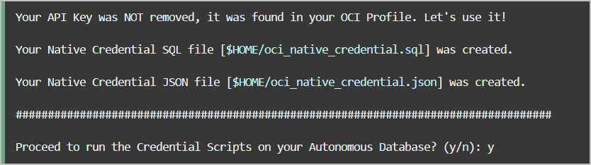 A continuación se muestra la descripción de cs_run_script.png