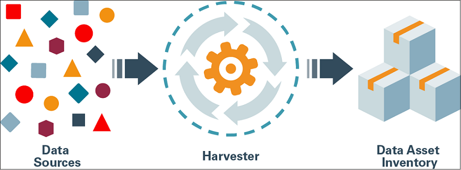 Click to expand Image showing the harvest process