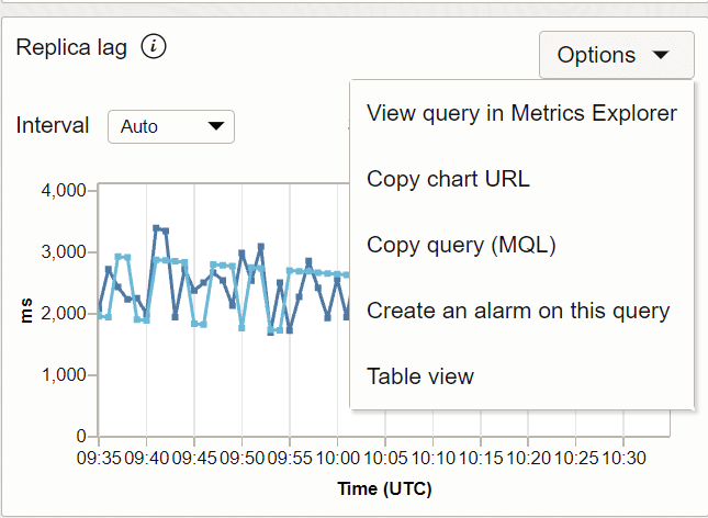 A continuación se muestra la descripción de metric_options.png