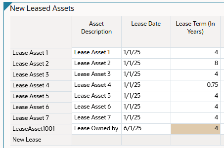 Definir plazo de leasing