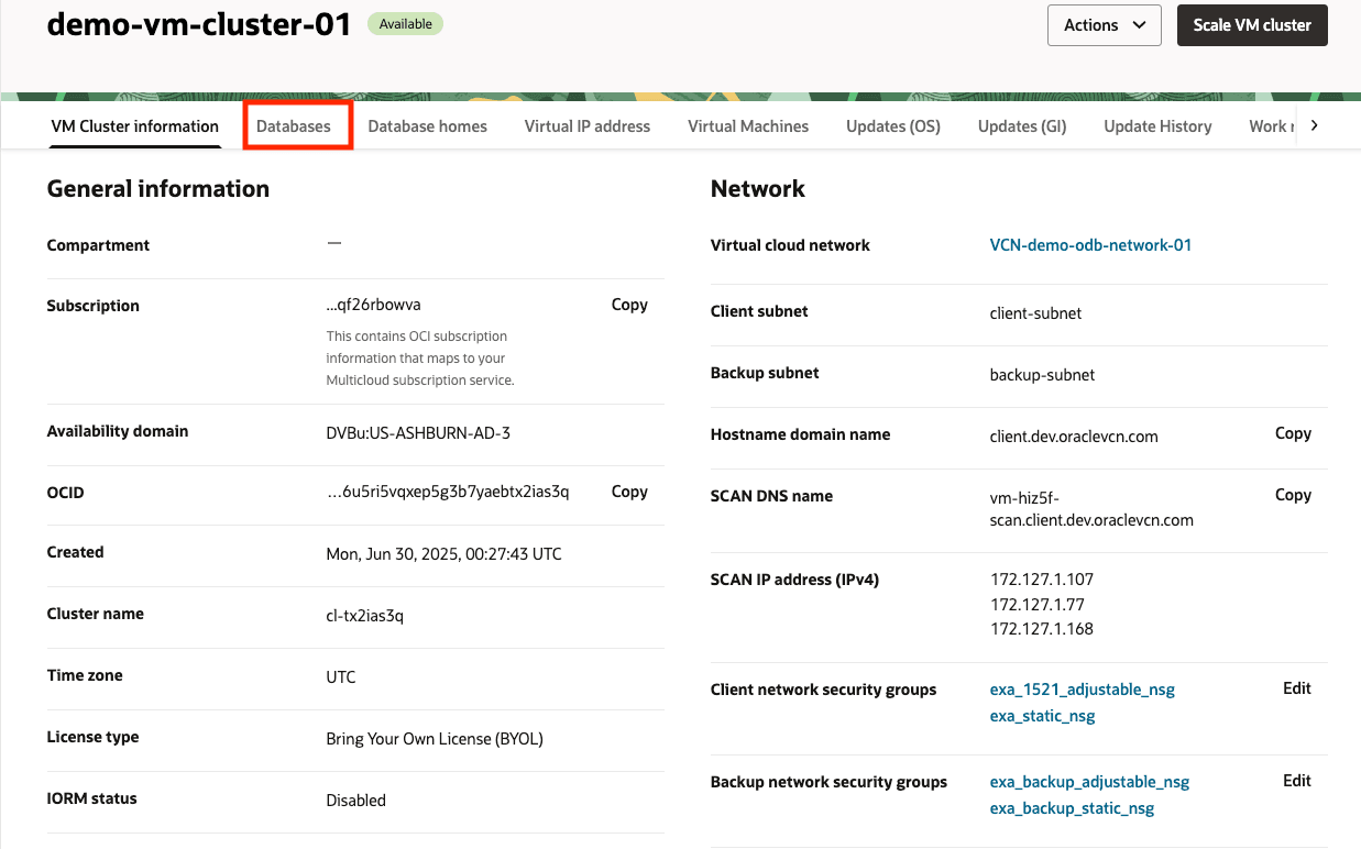 Imagen que muestra la página de detalles del cluster de VM