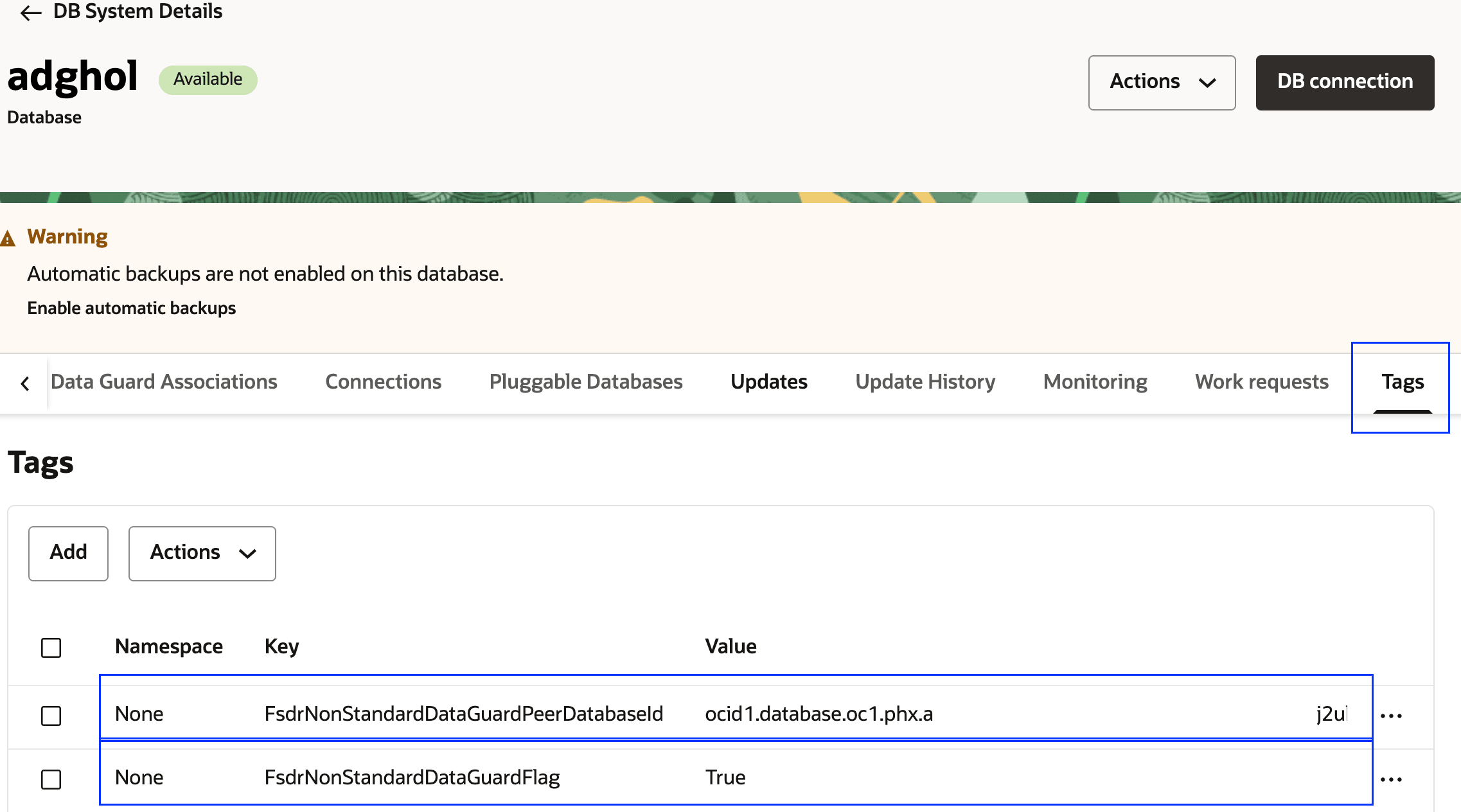 Etiquetas de iad-db-dataguard