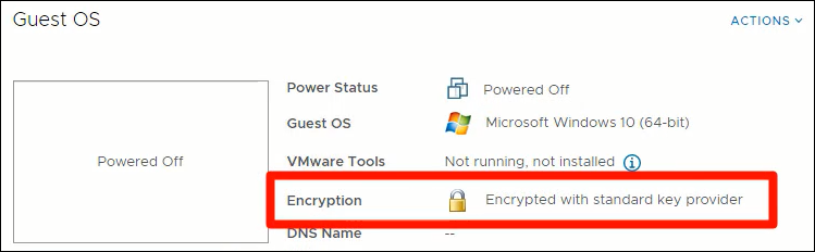 ENCRYPT VMDK INDIVIDUAL