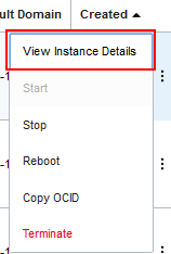 Voir les détails de l'instance dans le menu d'actions