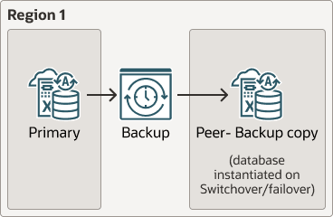 Une description de backup-based-dr-local.eps suit