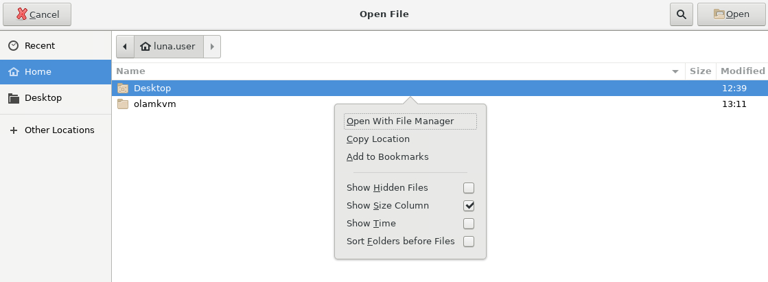 olam2-open-file