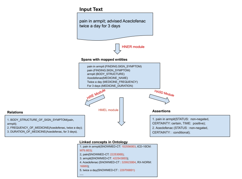Entrées et sorties spécifiques du pipeline Health NLP