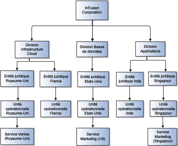 Cette figure représente les divisions, les entités juridiques, les unités opérationnelles et la structure des services pour InFusion Corporation.