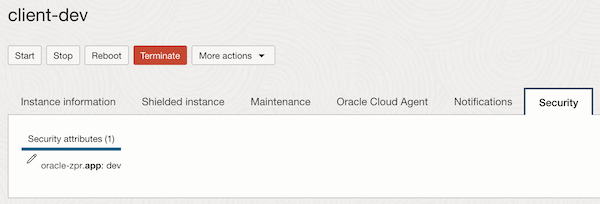Capture d'écran illustrant l'onglet Security Attributes renseigné. Capture d'écran illustrant l'onglet Security Attributes renseigné.