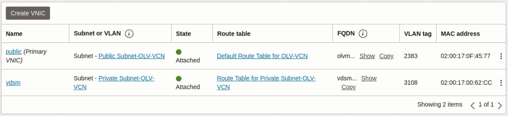oci-engin-vnic