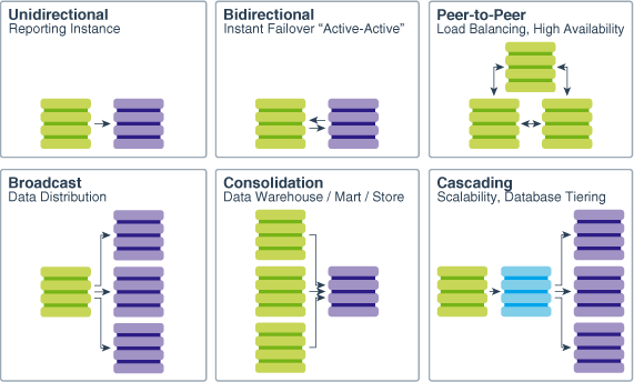 The image shows the six supported types of Oracle GoldenGate data replication.