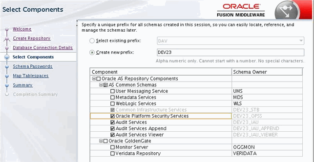 selecting schemas in RCU