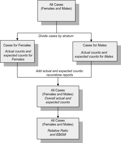 How reports are divided and then recombined during data mining when you use the stratification variable Gender.