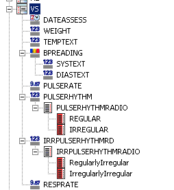 Illustration. Auto-generated mappings form definition in the Central Designer Project Explorer.