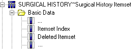 Illustration. Cognos view of deleted item and itemset index.